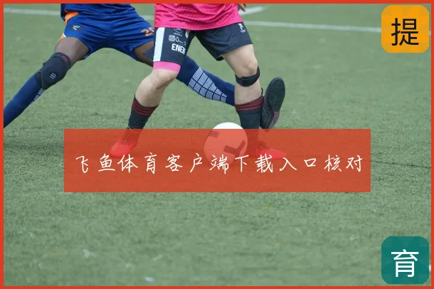 飞鱼体育客户端下载入口核对