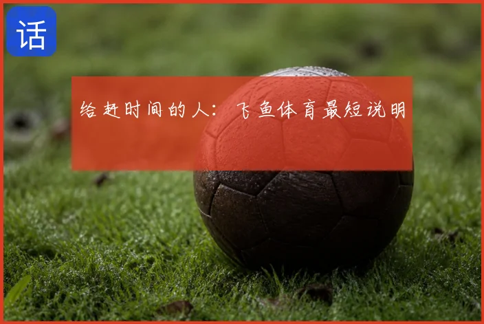 给赶时间的人：飞鱼体育最短说明