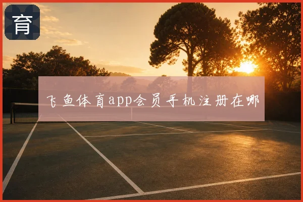 飞鱼体育app会员手机注册在哪